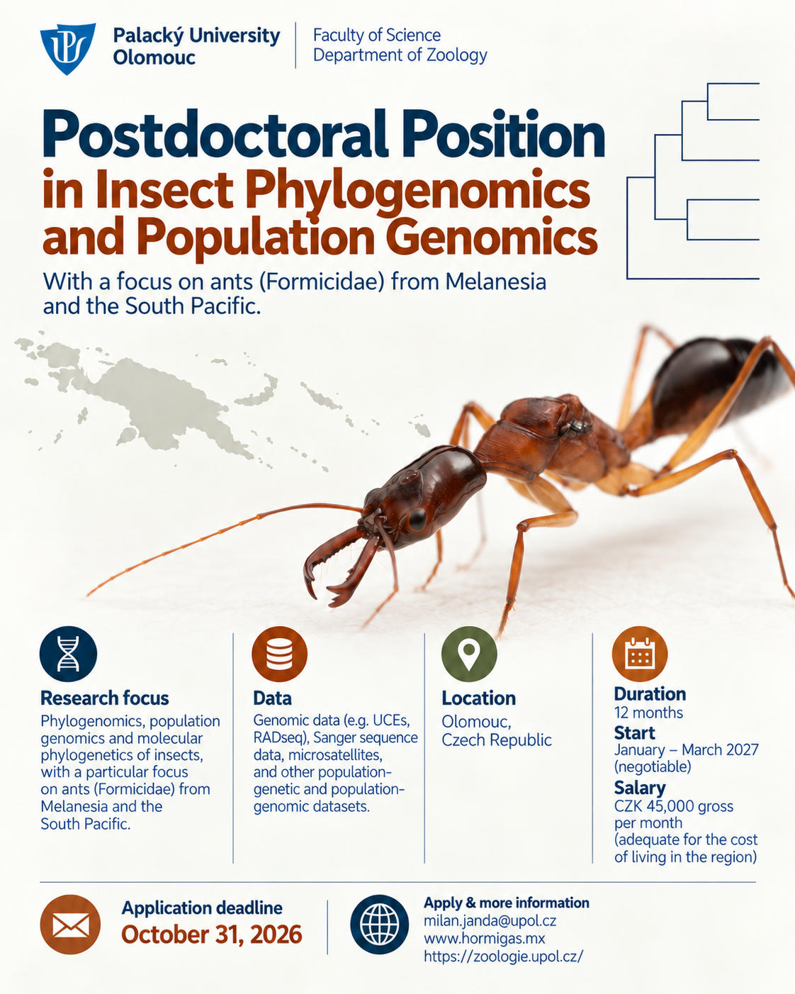 Postdoctoral position poster